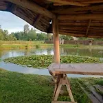 U Janusza * Zalesie