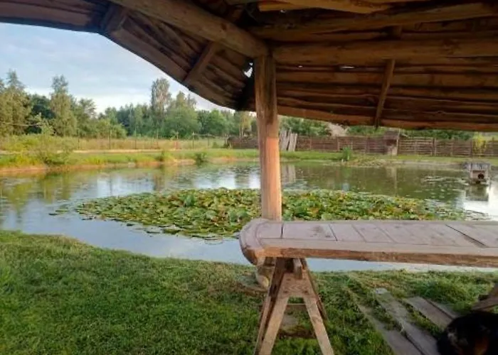 U Janusza * Zalesie (Grodzisk Mazowiecki)